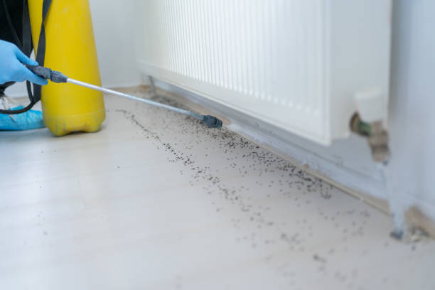 Reliable Hastings, NE Pest Control Solutions