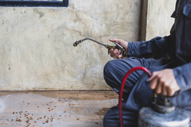 Best Local Pest Control Services  in Hastings, NE