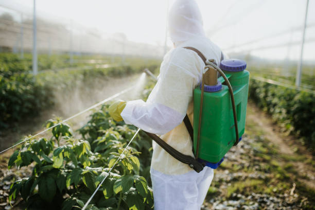 Best Exterminator Services  in Hastings, NE